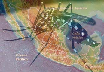 Registra Guanajuato tres casos de Dengue tipo 3