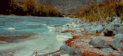 IMÁGENES DONDE SE MIRA AL AGUA