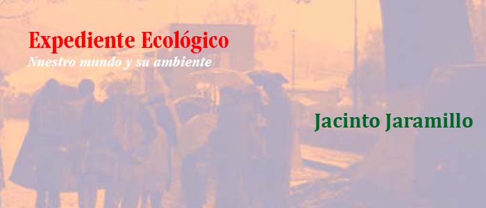Al fin llegan las lluvias