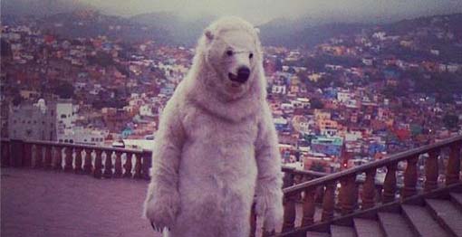 Greenpeace y Sak su oso polar en la ciudad