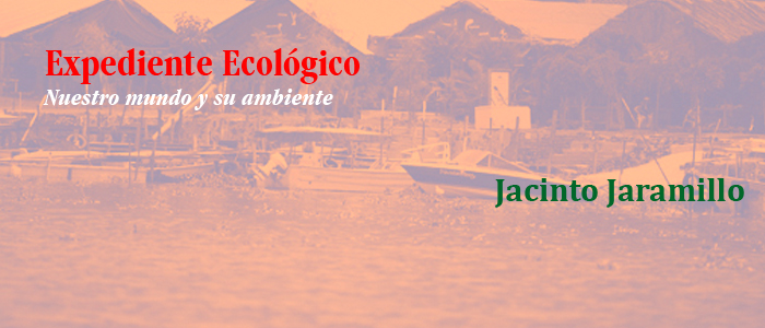 Aprendamos sobre lagos y lagunas (un poco de conocimiento no hace daño)
