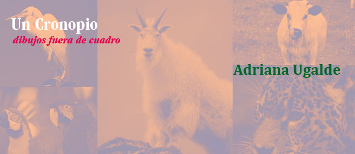 El respeto por los animales, ¿el respeto por el otro?