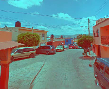 ¿Quién protege al Tribi?