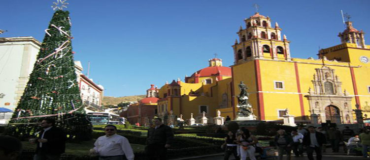Plaza de la Paz luce árbol navideño de más de 7 metros