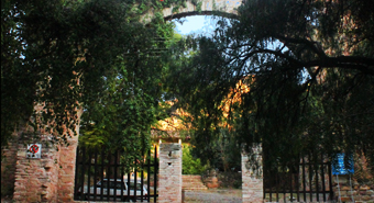 Cultura en el Museo Costa-Chávez Morado