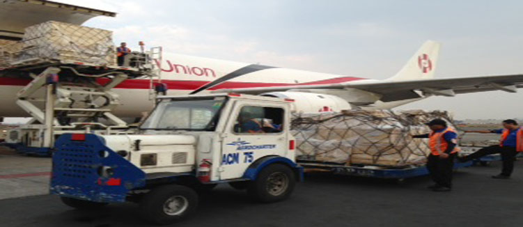 Regreso de las momias costó 400 mil pesos