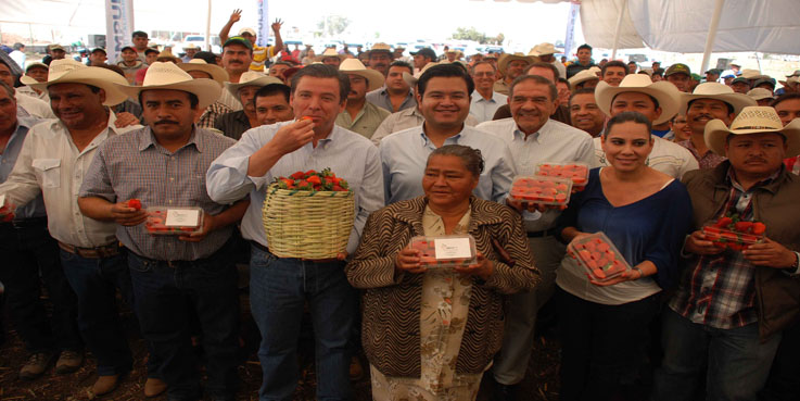 Construirán Mercado de la Fresa en Irapuato
