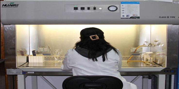 UG destaca por trabajo de cuerpos académicos