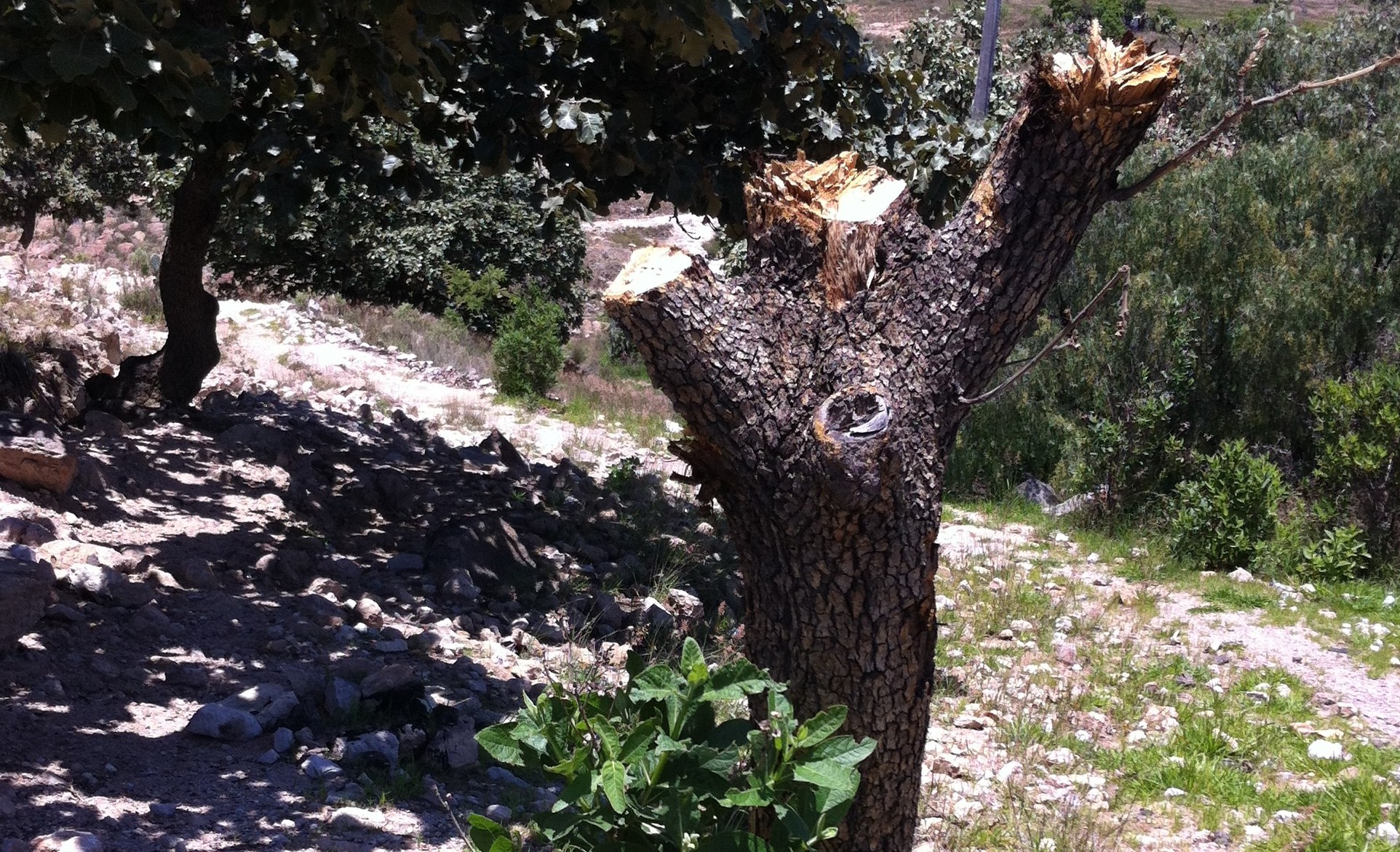 Hechos iniciales, hechos cruciales