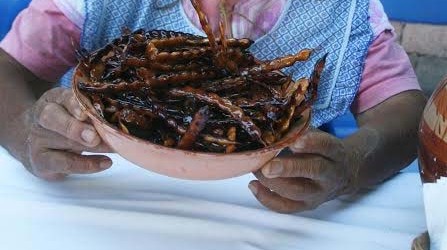 Concurso-Muestra de Dulces Regionales en San Luis de la Paz