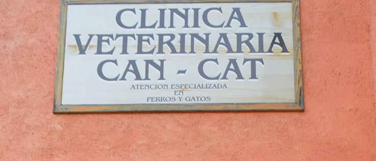 Hurtan en clínica veterinaria