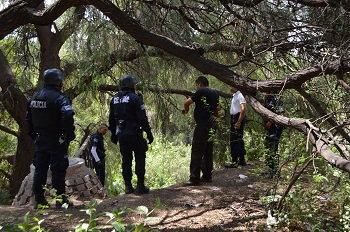Entran ladrones a vivienda en Cervera