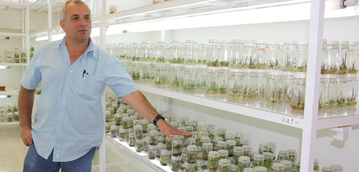 Tiene UG base de datos genéticos del agave