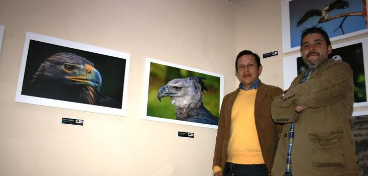 Exponen fotos de aves rapaces en la UG