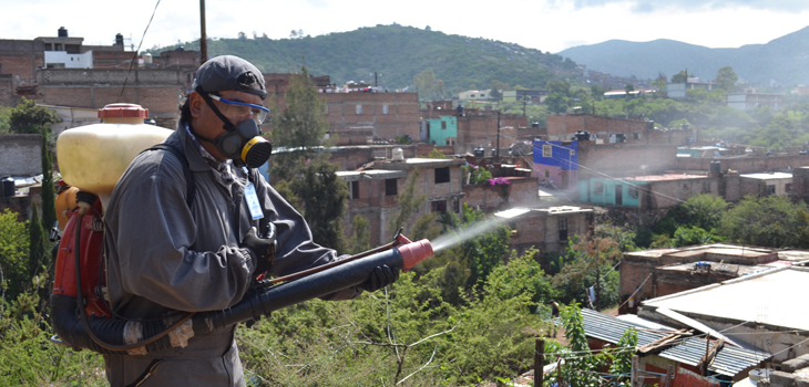 La fiebre Chinkungunya es transmitida por las mismas especies que transmiten el Dengue