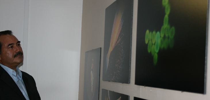 Museo Dugés de la UG tiene galería microscópica