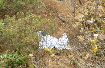 Siguen sin identificar el cadáver encontrado en comunidad de la Capital