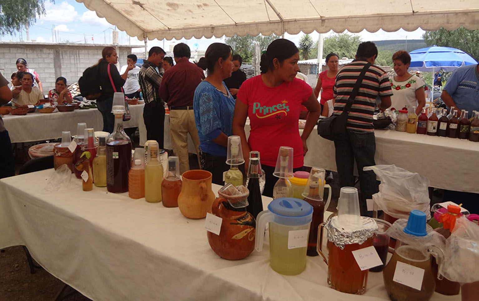 Preserva el IEC la gastronomía de la Cocina Tradicional Chichimeca