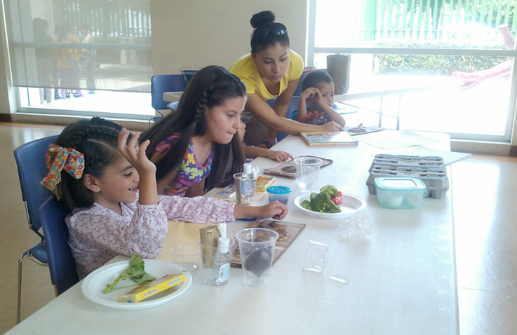 Talleres de verano en la Biblioteca Central Estatal Wigberto Jiménez Moreno