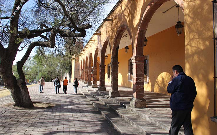 Conmemoran cuatro décadas de agronomía
