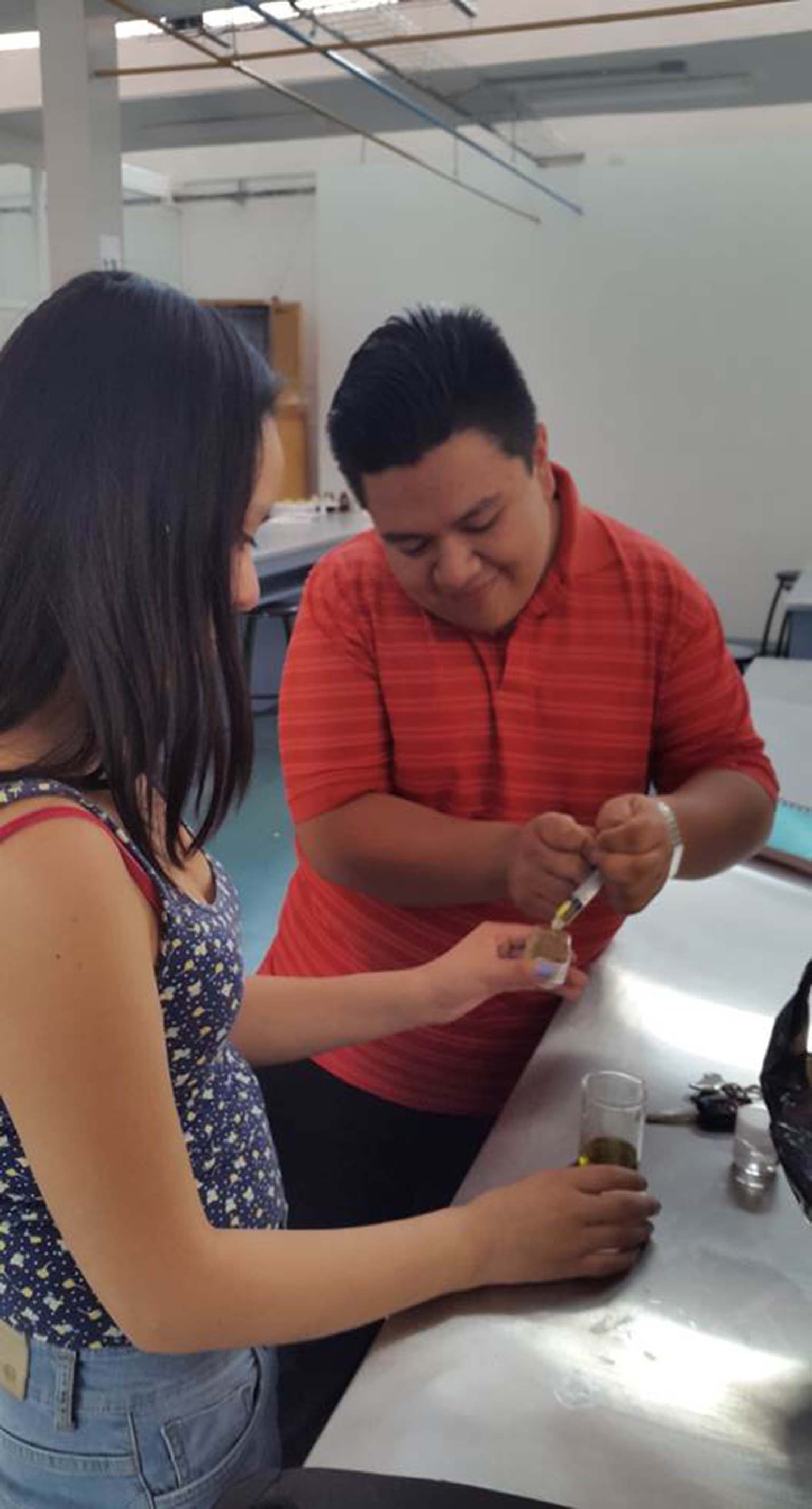 Convierten planta tradicional en gel cicatrizante
