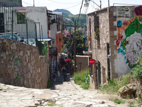 Muere joven en callejón