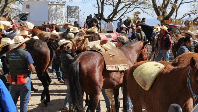 Brindan atención médica equina en El Cubilete alumnos de Veterinaria y Zootecnia de la UG