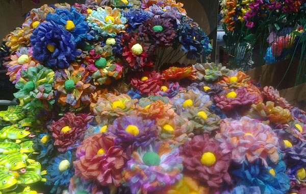 Floricultores sufrirán baja económica tras suspensión del día de las flores