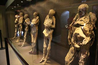 Remodelación del museo de las momias después de verano