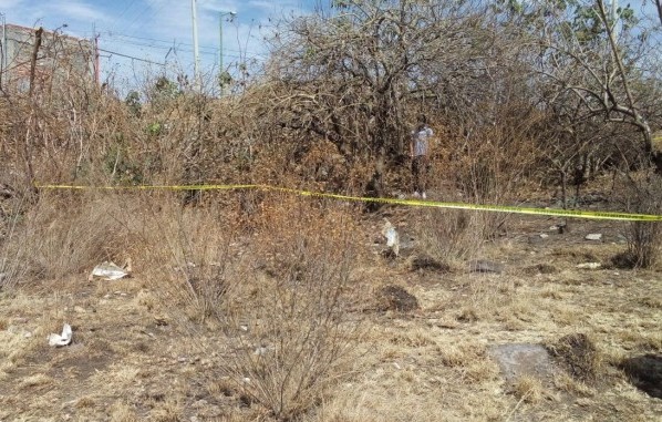 Breves Seguridad Irapuato