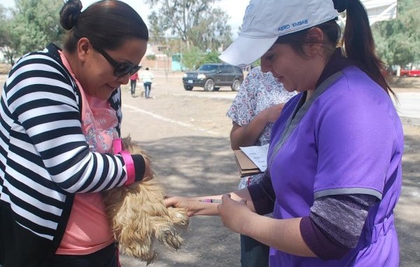 Alumnos UG colaboran en vacunación antirrábica en Irapuato