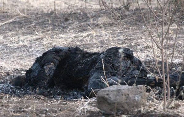 Encuentran calcinado en cerro de San Roque