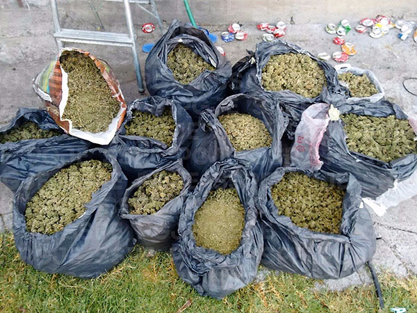 Encuentran mariguana en pasillo de casa