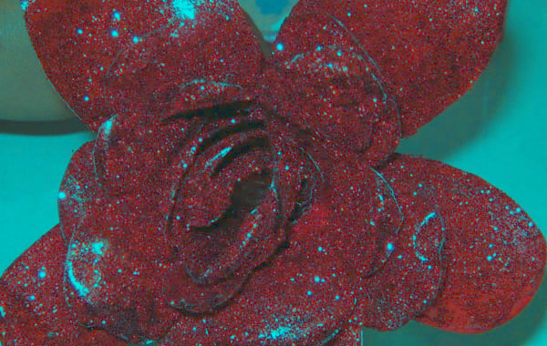 La dama y la rosa
