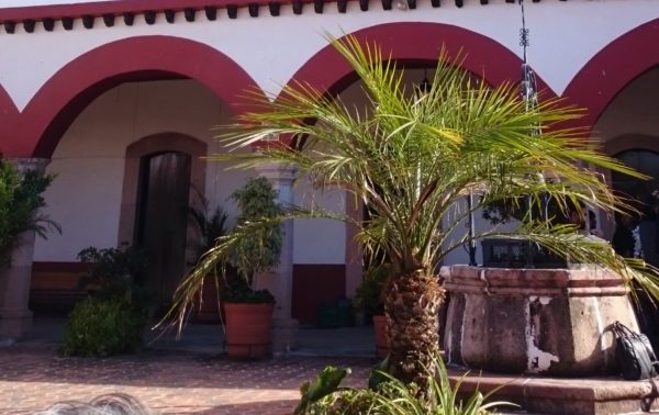 Comienza Coloquio sobre Filosofía Mexicana en la UG