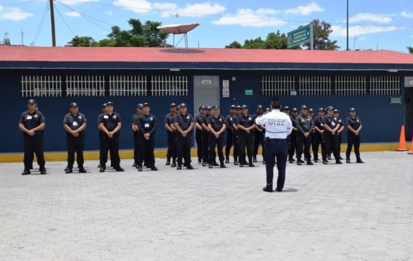 Seguridad Irapuato