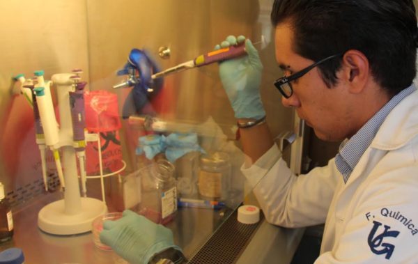 Investigación de egresado UG da esperanza a la lucha contra la leucemia infantil