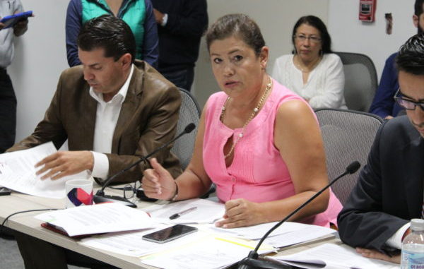 Avanza propuesta para la elección de Delegados Municipales