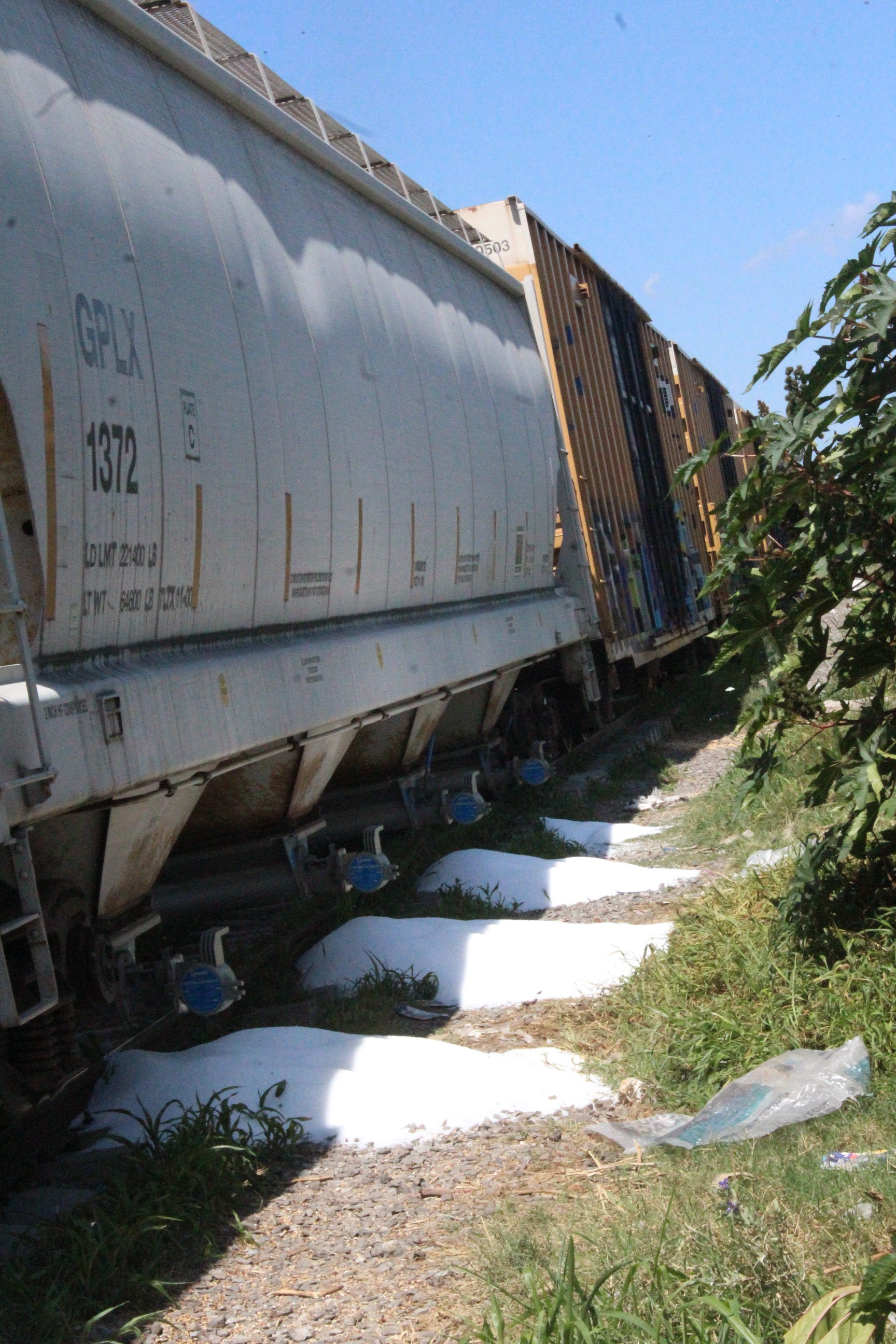 Se lo lleva el tren
