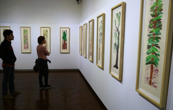 IEC: Magnífica exposición por artistas del CEARG en el Museo Diego Rivera