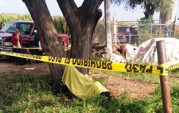 Seguridad Irapuato: mueren dos ancianos al cuidar sus cultivos