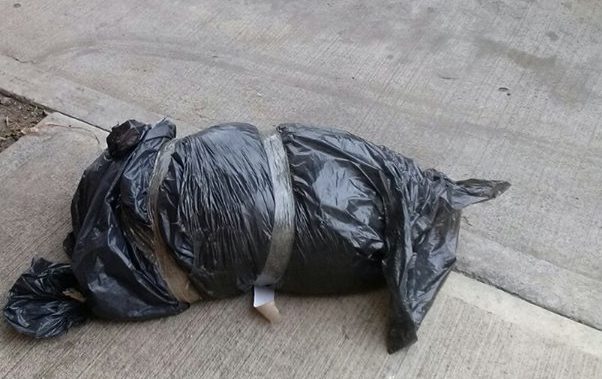 Seguridad Irapuato: dejan torso humano en Los Reyes