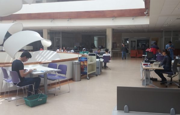 IEC entrega colecciones de libros a bibliotecas públicas de León