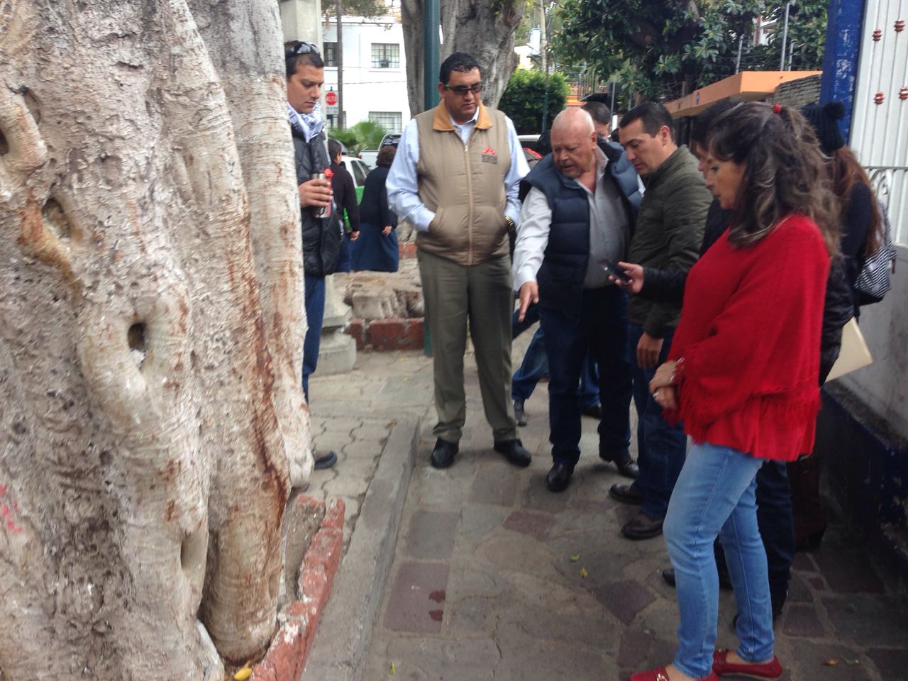 Retomarán trabajos en el Jardín Embajadoras después de un año