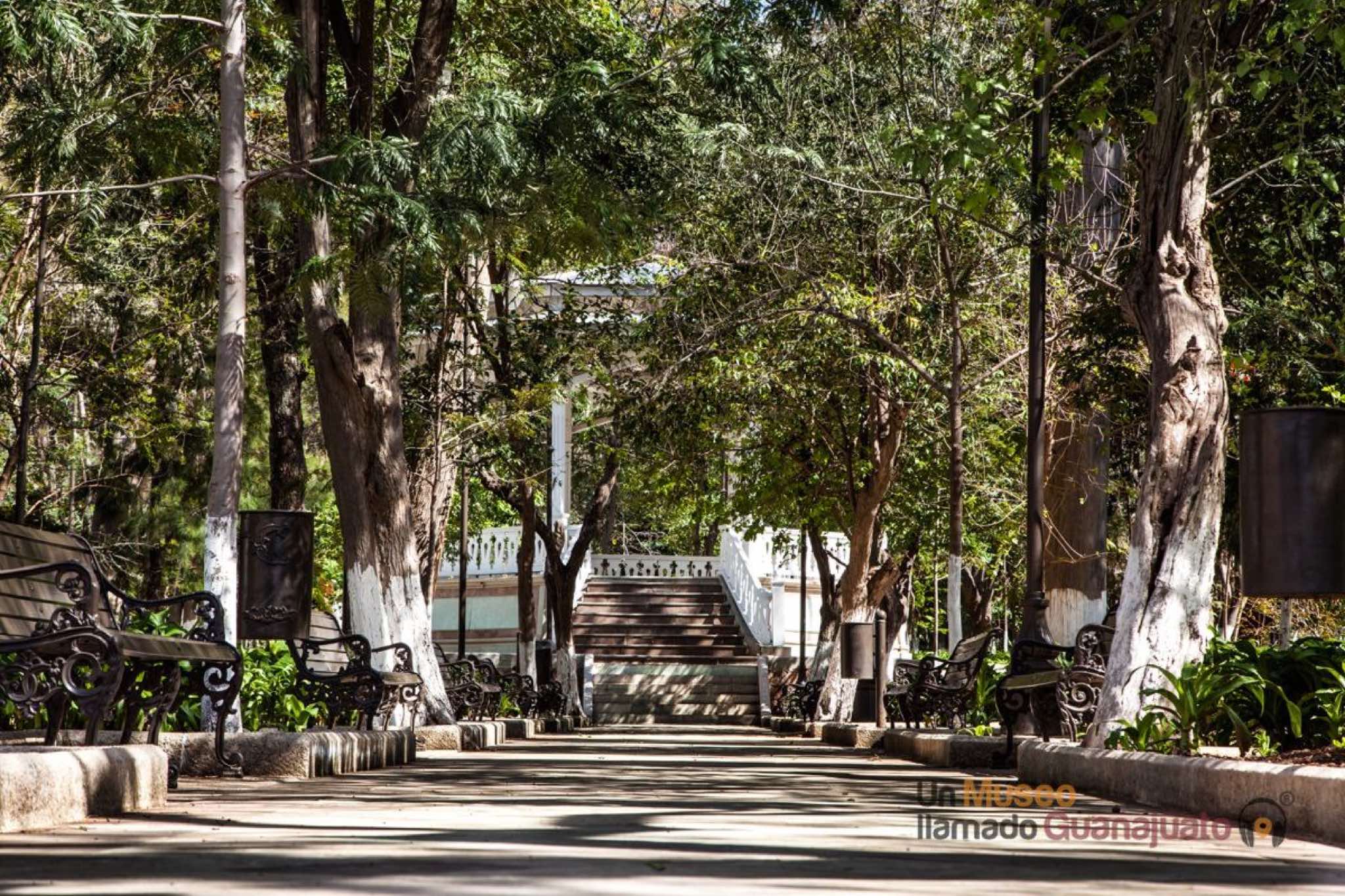 Siguen irregularidades en el Florencio Antillón: Tovar Alvarado