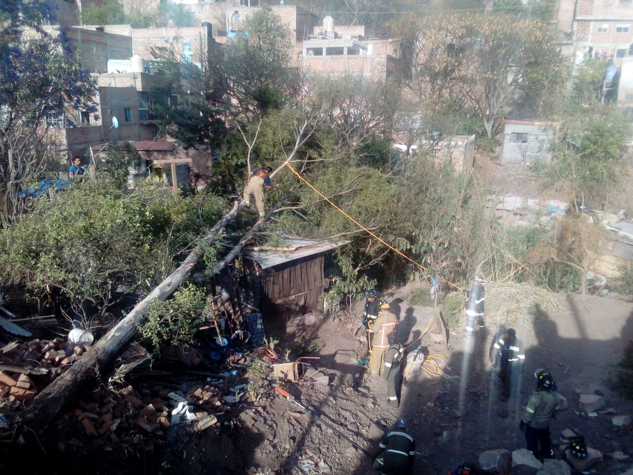 Municipio hará peritaje para deslindar responsabilidades sobre árbol caído por la Ex Estación