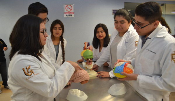Obtiene reacreditación la Licenciatura de Médico Cirujano UG