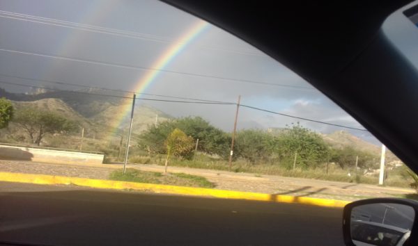 Panorama Optimista (Desde el Punto de Vista)