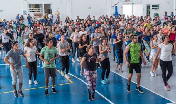 Conviven “abejas activas” al ritmo de la música