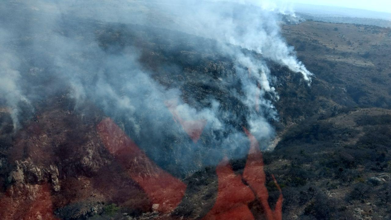 Mil 600 hectáreas son afectadas por incendios en San Felipe